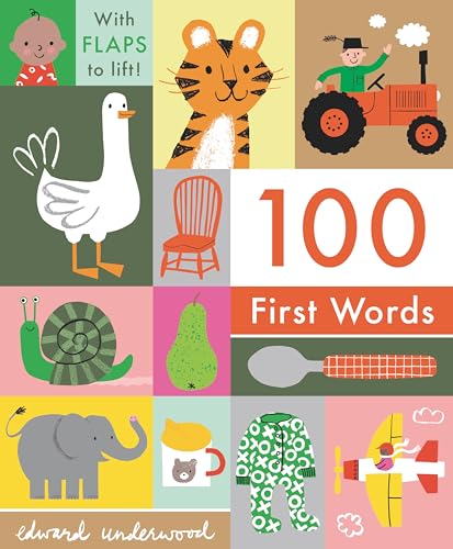 100 First Words With Flaps to Lift [Board book]