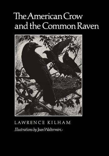 The American Crow & Common Raven (w. L. Moody Jr. Natural History Series) [Paperback]