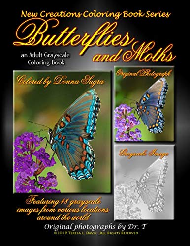 New Creations Coloring Book Series  Butterflies and Moths [Unknown]