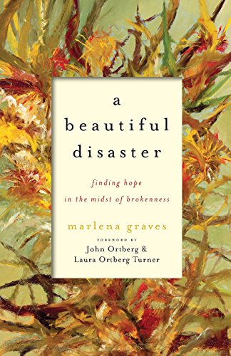 A Beautiful Disaster Finding Hope In The Midst Of Brokenness [Paperback]