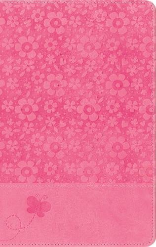 NIrV, Adventure Bible for Early Readers, Imitation Leather, Pink, Full Color [Leather / fine bindi]