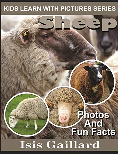 Sheep  Kids Learn With Pictures Book 27 Photos and Fun Facts for Kids [Paperback]