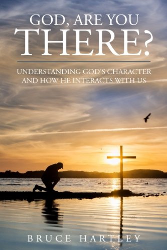 God, Are You There  Understanding God's Character and How He Interacts with Us [Paperback]