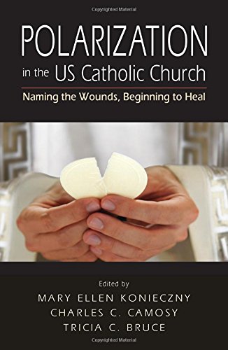 Polarization In The Us Catholic Church Naming The Wounds, Beginning To Heal [Paperback]