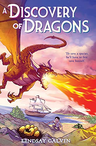 A Discovery of Dragons [Hardcover]