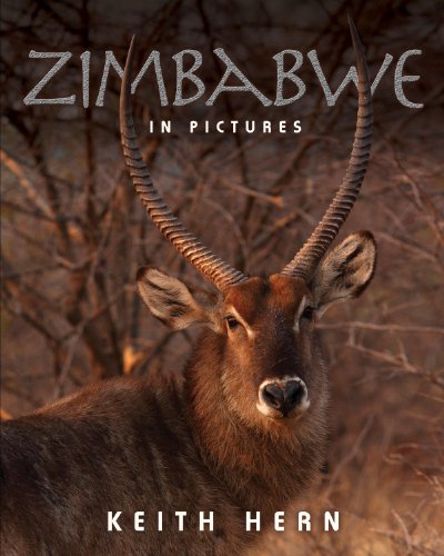 Zimbabwe In Pictures [Paperback]