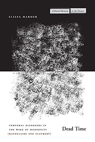 Dead Time Temporal Disorders in the Wake of Modernity (Baudelaire and Flaubert) [Paperback]