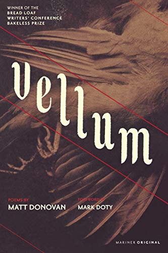 Vellum [Paperback]