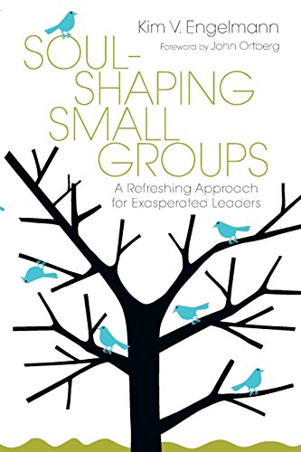 Soul-Shaping Small Groups A Refreshing Approach For Exasperated Leaders [Paperback]