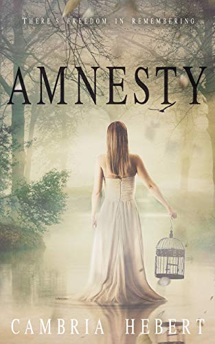 Amnesty [Paperback]