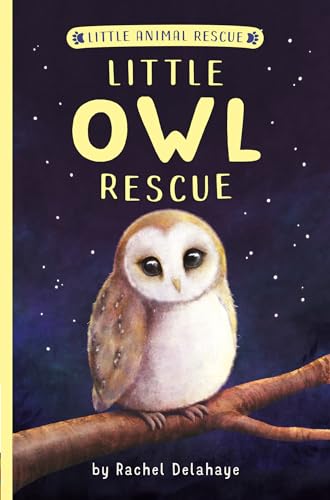 Little Owl Rescue [Paperback]