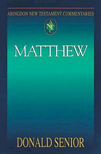 Abingdon New Testament Commentaries Matthew [Paperback]