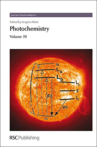 Photochemistry Volume 39 [Hardcover]