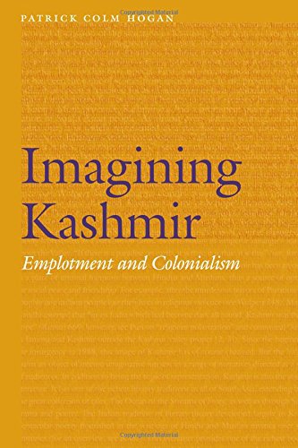 Imagining Kashmir Emplotment And Colonialism (frontiers Of Narrative) [Hardcover]