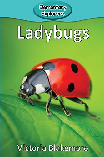 Ladybugs (elementary Explorers) [Paperback]