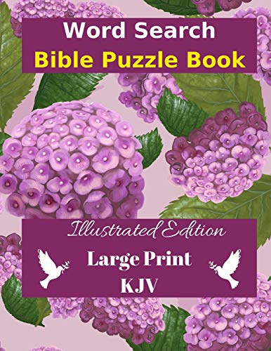 Word Search Bible Puzzle  Illustrated Edition Large Print [Paperback]