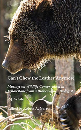 Can't Chew The Leather Anymore Musings On Wildlife Conservation In Yellowstone  [Paperback]