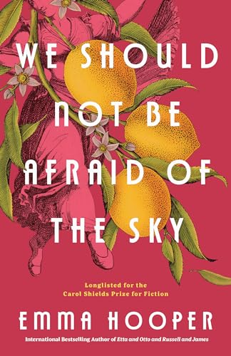 We Should Not Be Afraid of the Sky [Paperback]
