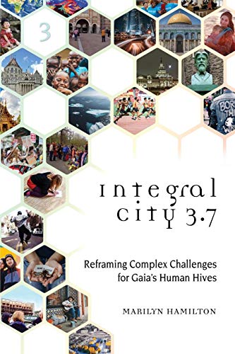 Integral City 3. 7  Reframing Complex Challenges for Gaias Human Hives [Paperback]