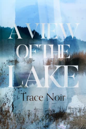 A View Of The Lake [Paperback]