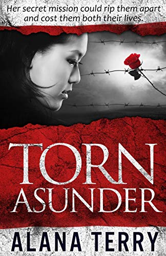 Torn Asunder [Paperback]