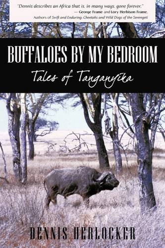 Buffaloes by My Bedroom [Hardcover]