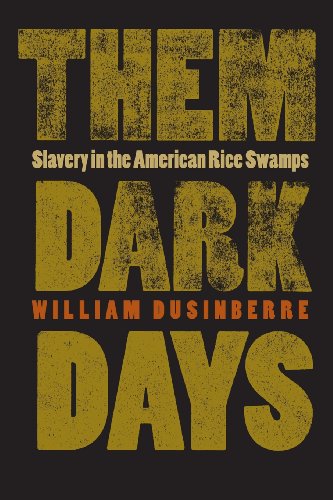 Them Dark Days Slavery in the American Rice Swamps [Paperback]