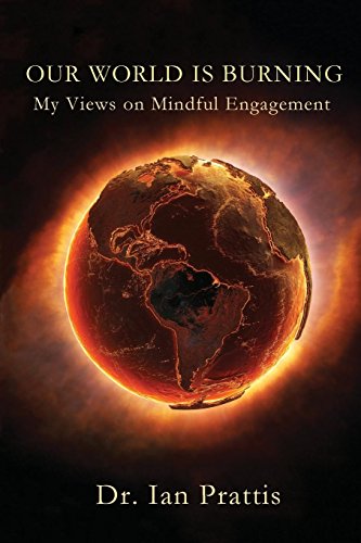 Our World Is Burning My Views On Mindful Engagement [Paperback]
