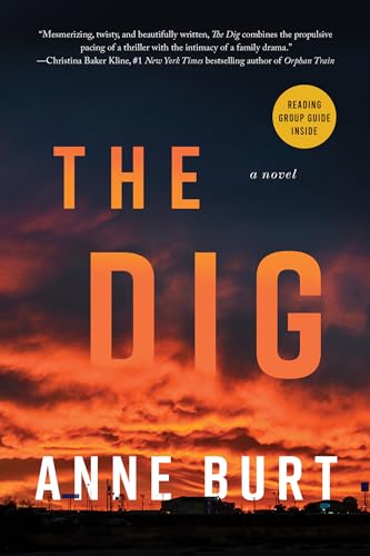 The Dig A Novel [Paperback]