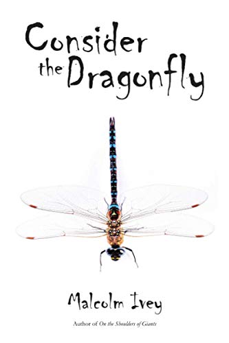 Consider the Dragonfly [Paperback]