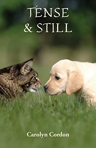 Tense & Still [Paperback]