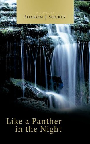 Like A Panther In The Night [Hardcover]