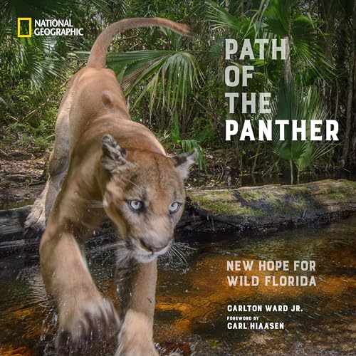 Path of the Panther New Hope for Wild Florida [Hardcover]