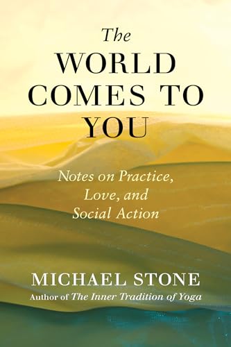 The World Comes to You Notes on Practice, Love, and Social Action [Paperback]