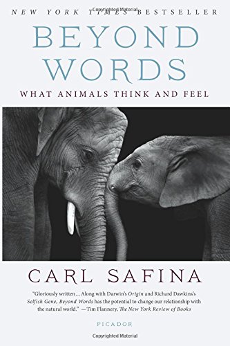Beyond Words What Animals Think and Feel [Paperback]