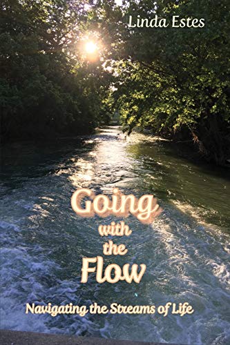 Going With The Flow Navigating The Streams Of Life [Paperback]