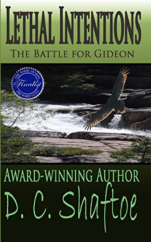 Lethal Intentions The Battle For Gideon (the Second Chance Series) (volume 1) [Paperback]