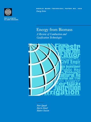 Energy from Biomass A Review of Combustion and Gasification Technologies [Paperback]