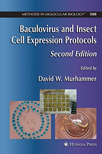 Baculovirus and Insect Cell Expression Protocols [Hardcover]