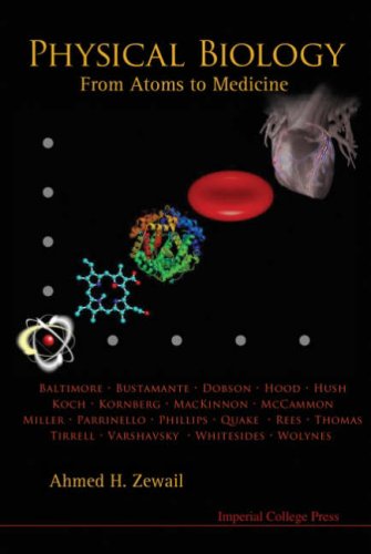 Physical Biology From Atoms to Medicine [Paperback]
