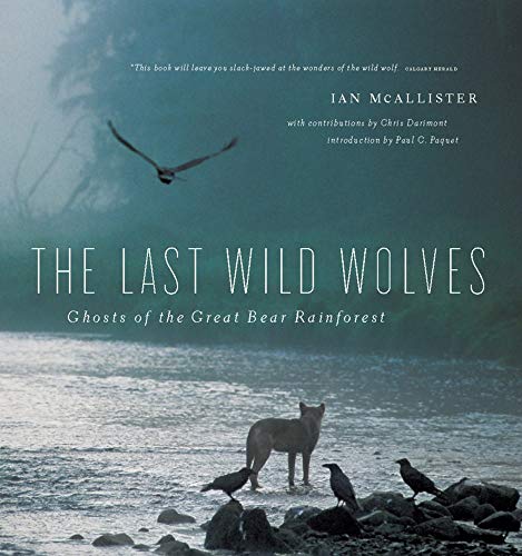 The Last Wild Wolves Ghosts of the Rain Forest [Paperback]