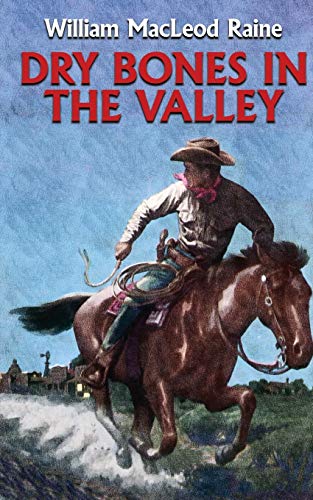 Dry Bones in the Valley [Paperback]
