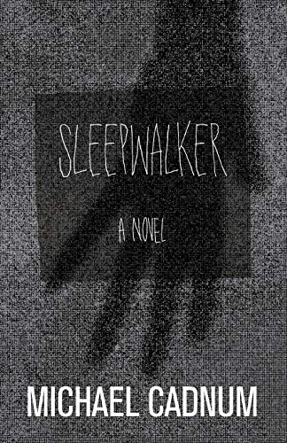 Sleepwalker A Novel of Terror [Paperback]