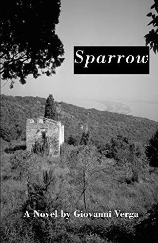 Sparrow  A Novel [Paperback]