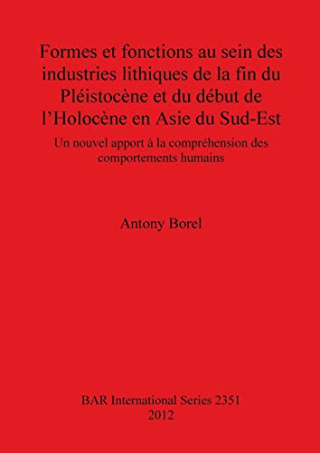 Formes et fonctions au sein des industries lithiques de la fin du Pleistocene et [Paperback]