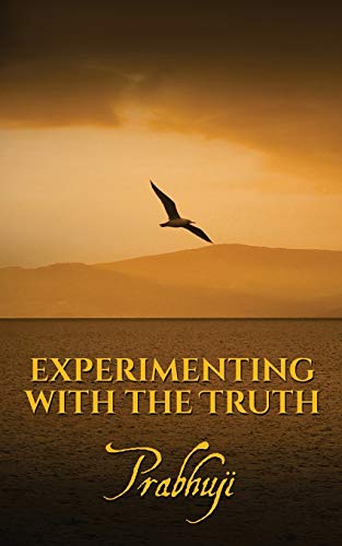Experimenting with the Truth [Paperback]