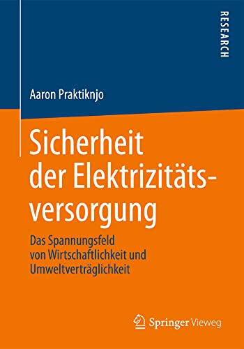Sicherheit der Elektrizittsversorgung Das Spannungsfeld von Wirtschaftlichkeit [Hardcover]