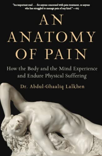 An Anatomy of Pain How the Body and the Mind Experience and Endure Physical Suf [Paperback]