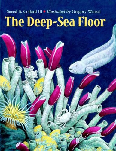 The Deep-Sea Floor [Paperback]