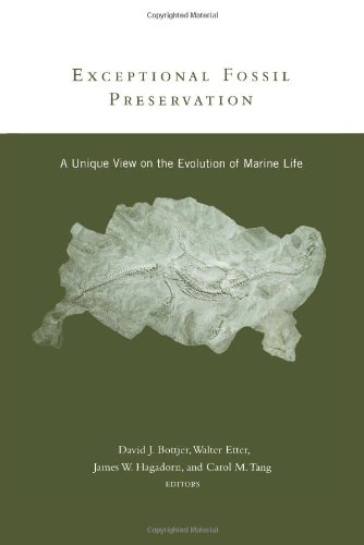 Exceptional Fossil Preservation [Hardcover]